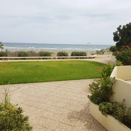 Haig's Dream Flat On The *