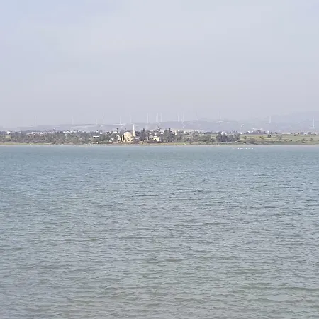 Haig's Dream Flat On The Larnaka