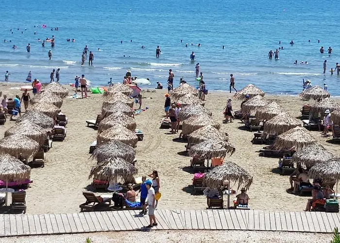 Haig's Dream Flat On The * ラルナカ