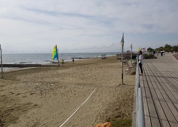 Haig's Dream Flat On The * ラルナカ