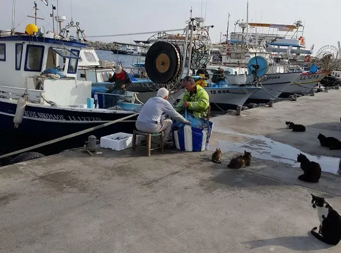 Haig's Dream Flat On The アパート ラルナカ