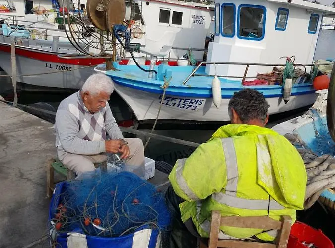 Haig's Dream Flat On The