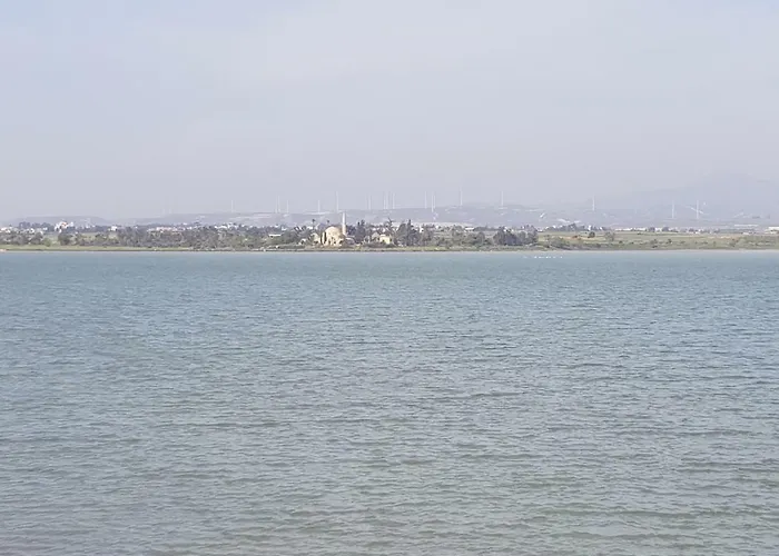Haig's Dream Flat On The Larnaca