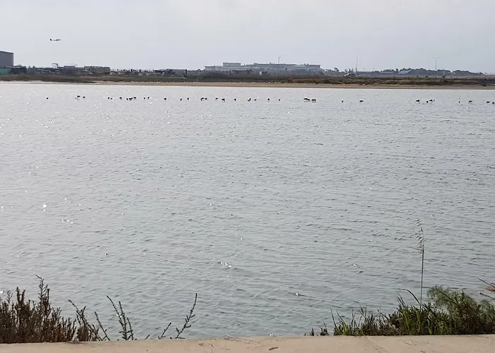 Haig's Dream Flat On The Daire Larnaca