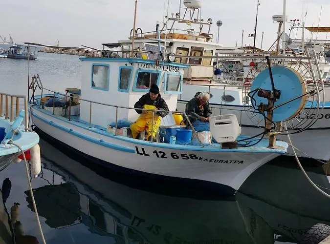 Haig's Dream Flat On The