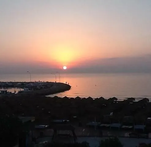 Haig's Dream Flat On The *